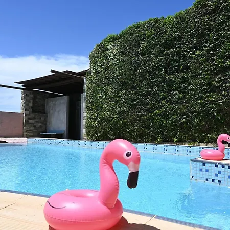 Lägenhet Tranquil Infinity Pool Getaway *